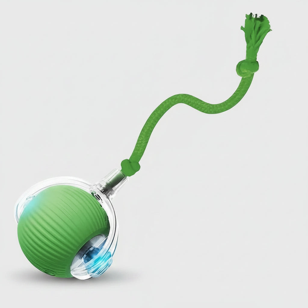 Smart Automatic Dog Ball