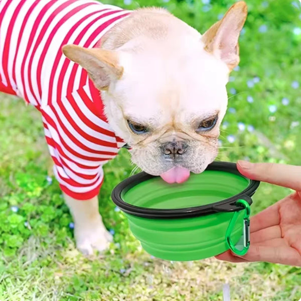 Compact Pet Travel Bowl