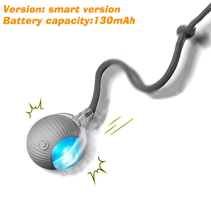 Smart Automatic Dog Ball