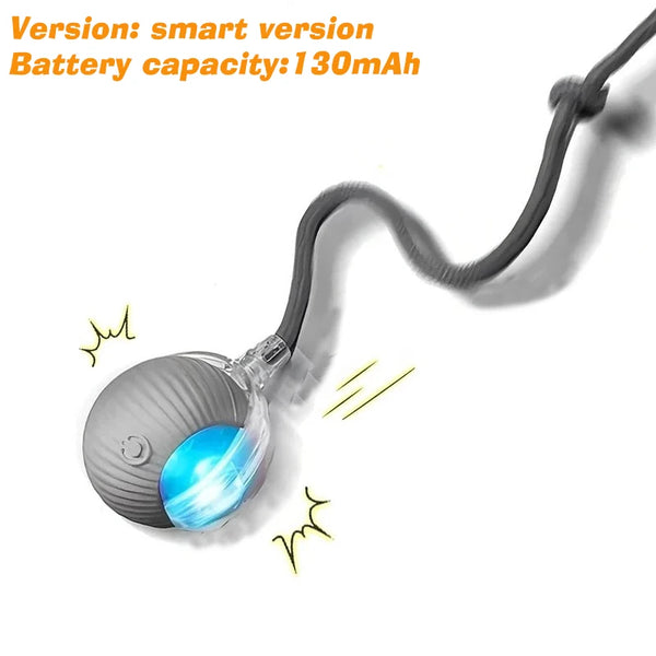 Smart Fetch Ball for Dogs