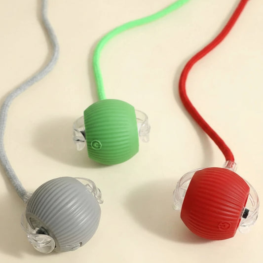 Smart Automatic Dog Ball