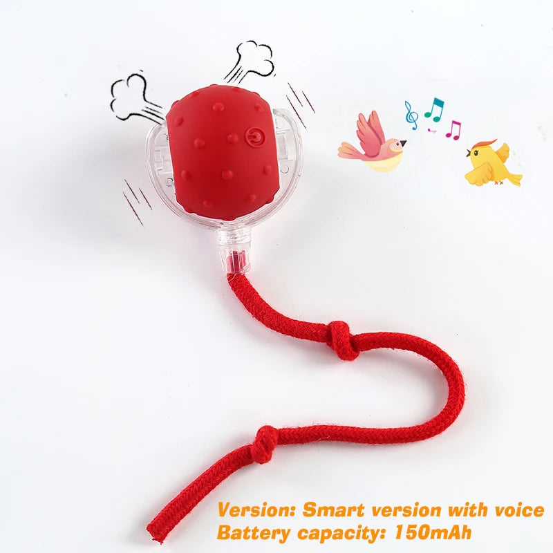 Smart Automatic Dog Ball