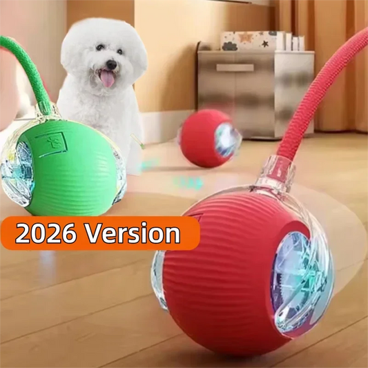 Smart Automatic Dog Ball